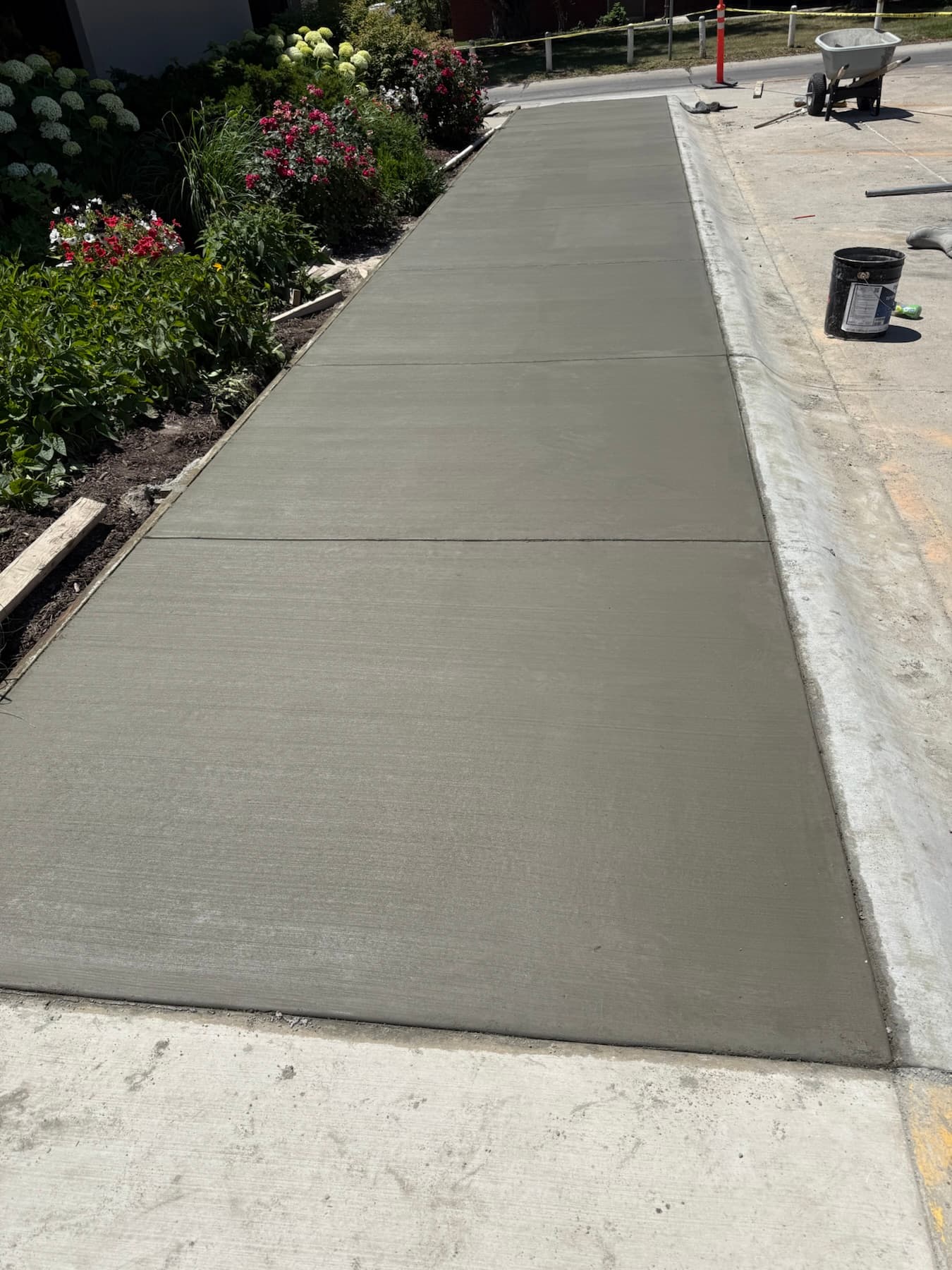 Freshly poured concrete sidewalk beside landscaping